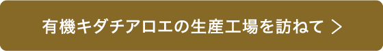 有機キダチアロエの生産工場を訪ねて